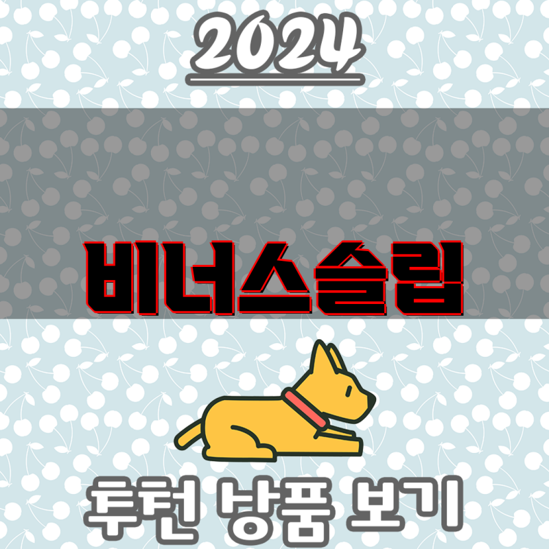 비너스슬립 완벽 구성 꿀잠 위한 베스트 아이템 10가지 분석