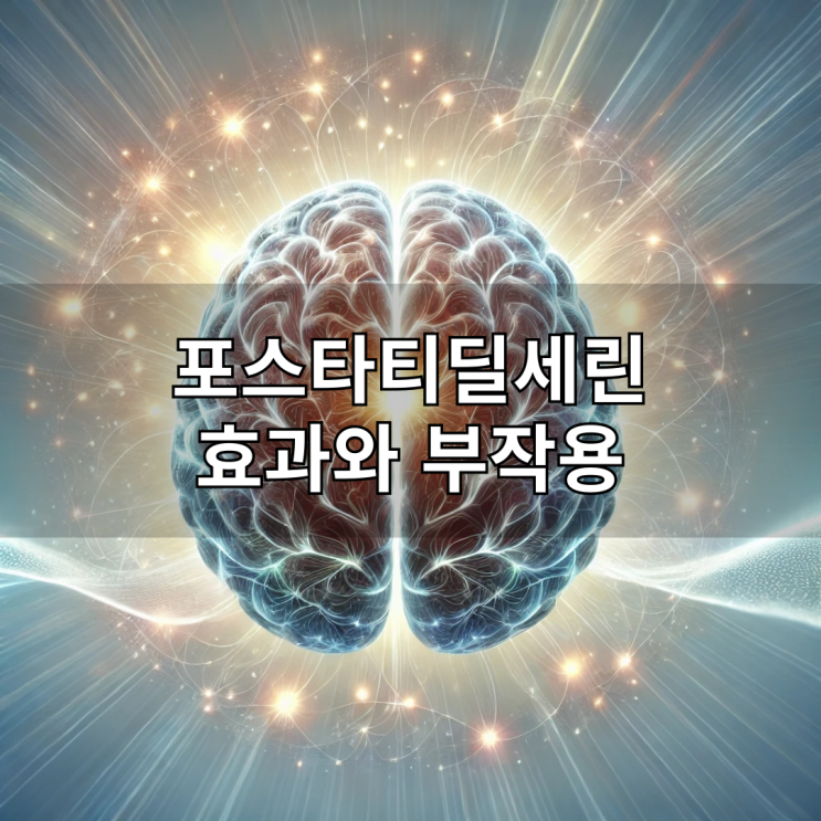  포스타티딜세린 효과와 부작용 총정리 기억력 개선부터 복용법까지