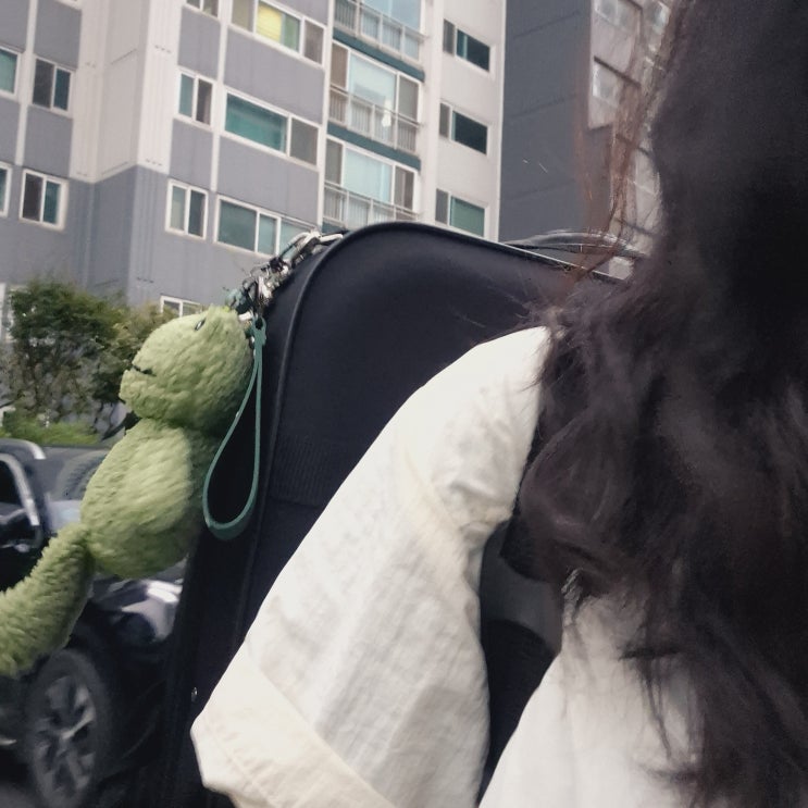  [일기] 24.09.02. 비, 황성주두유, 과단백, 예산샌드, 서포터즈북적북적, UV램프, 인터뷰, 비올라5, 기도회