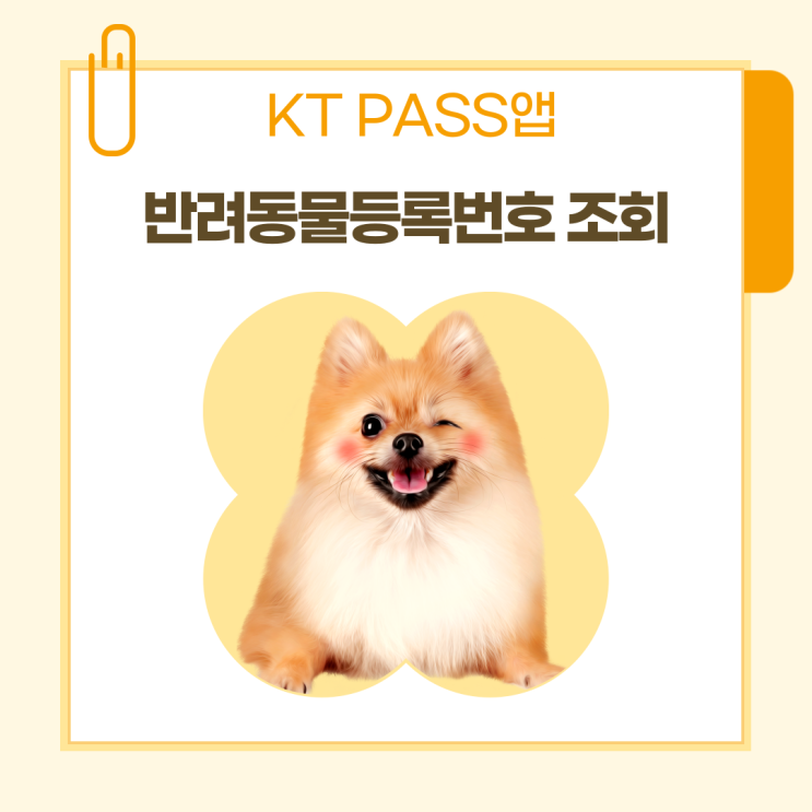  동물등록번호조회 반려동물확인증 발급 방법 KT pass앱