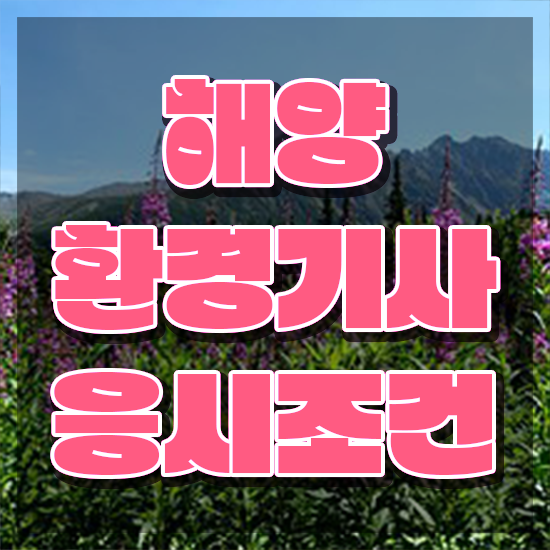  해양환경기사 해양환경기사 응시자격 학점은행제로 단기간에 성공한 방법