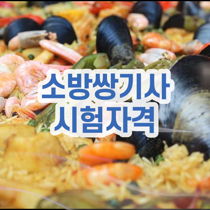  소방설비기사 카페 소방설비기사 자격요건 온라인 과정으로 간단하게 끝낸 후기