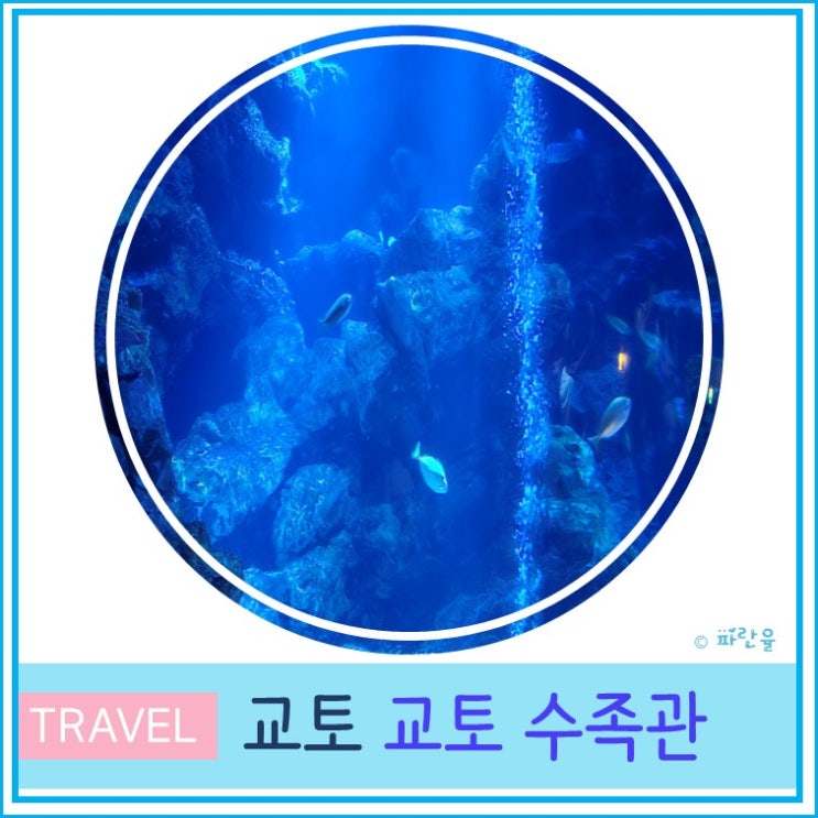  오사카 근교 자유여행 아이와 가볼 만한 곳 교토 수족관