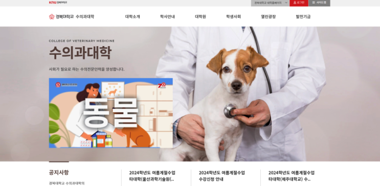  경북대 수의대 합격 생기부, 조직학적, 유전학적 탐구 내용