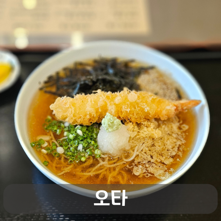  도안동 자가제면 사누키 우동, 소바 맛집  OTA(오타)
