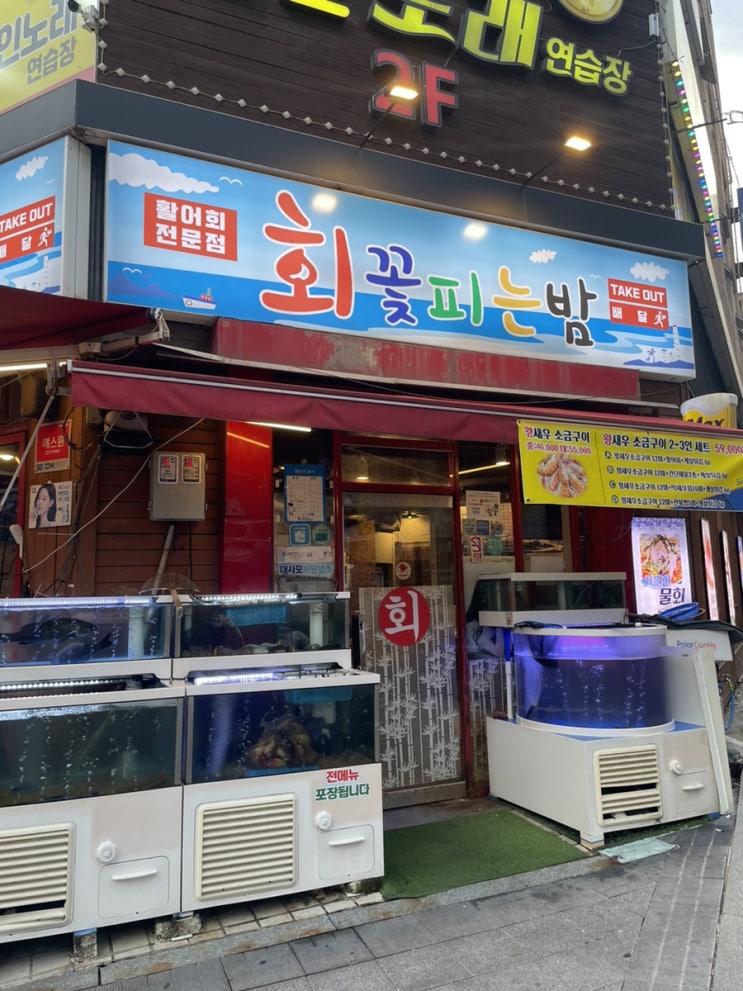  [부천역 맛집] 왕새우구이 부천역 횟집 제철회 맛집 회꽃피는밤