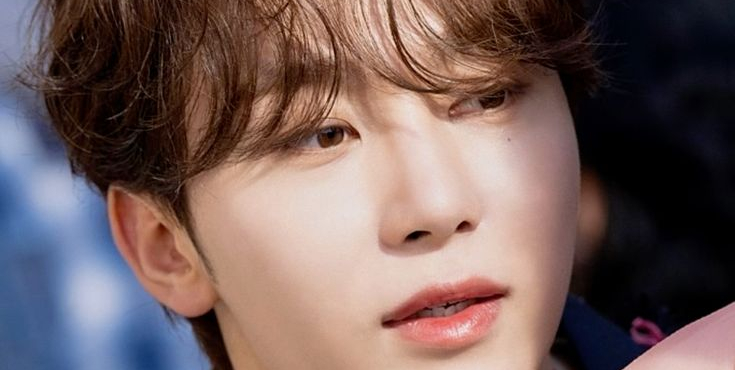 세븐틴 빙의글- 이 집사는 결벽증입니다(19++)
