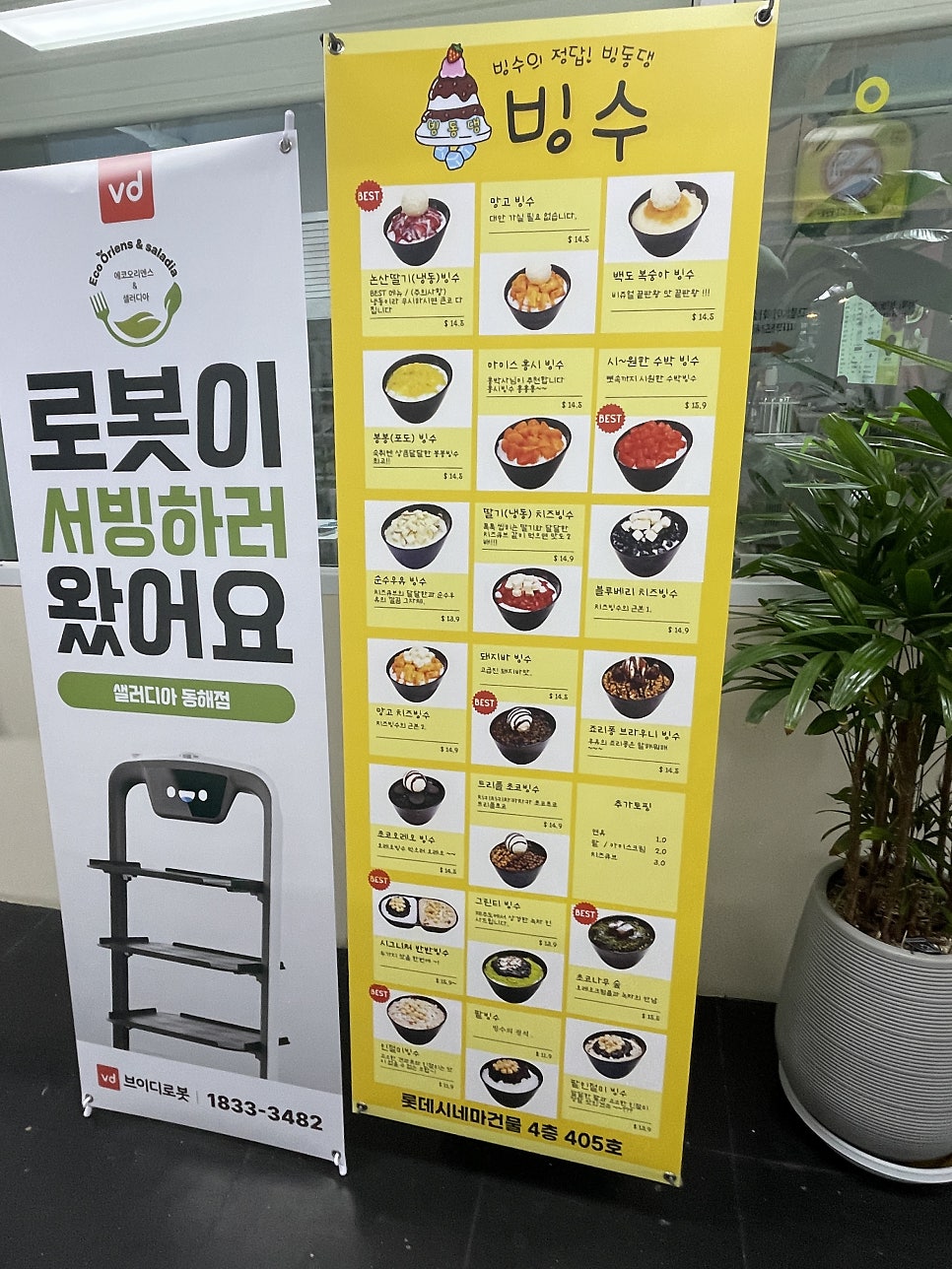 빙동댕에코오리엔스 동해점 사진 3