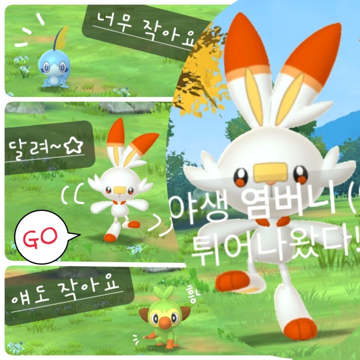  포켓몬고 가라르 이벤트 업데이트 스페셜 리서치 염버니 진화