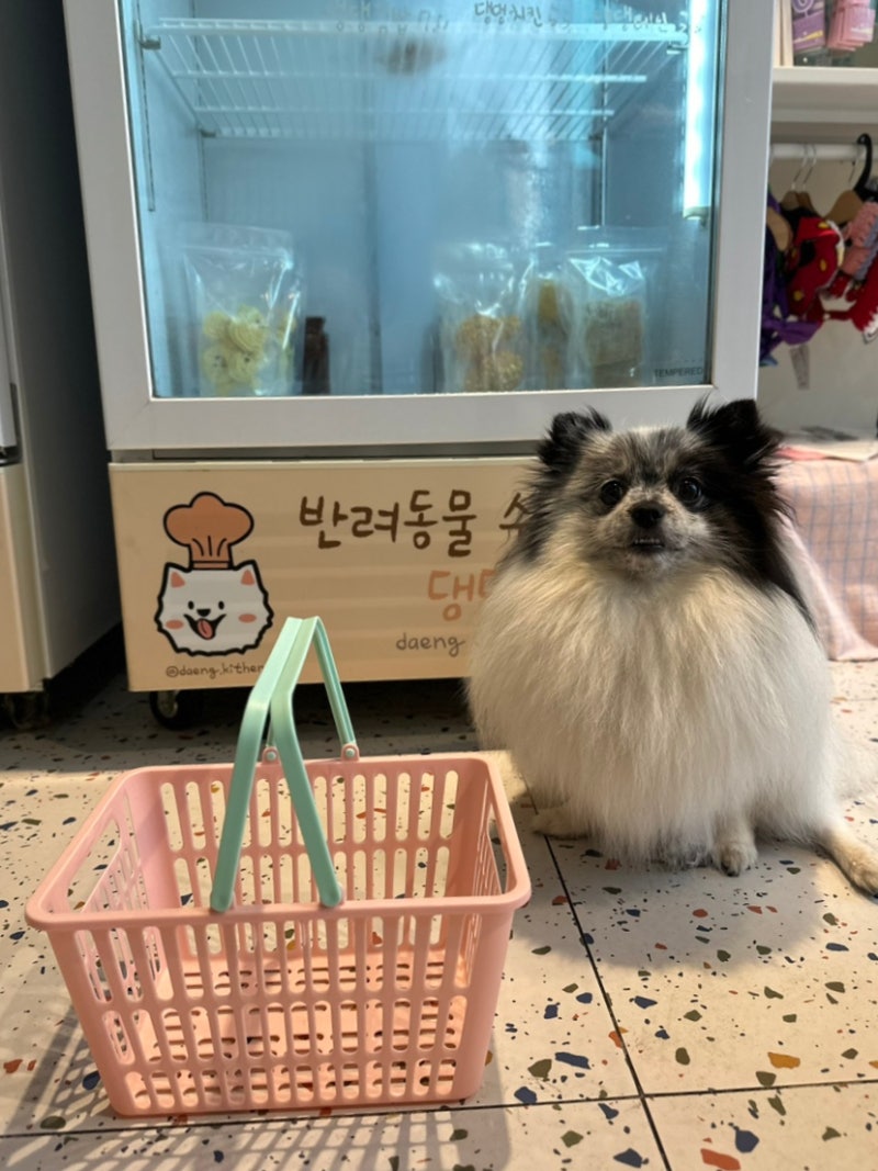 댕댕키친 — 목포시