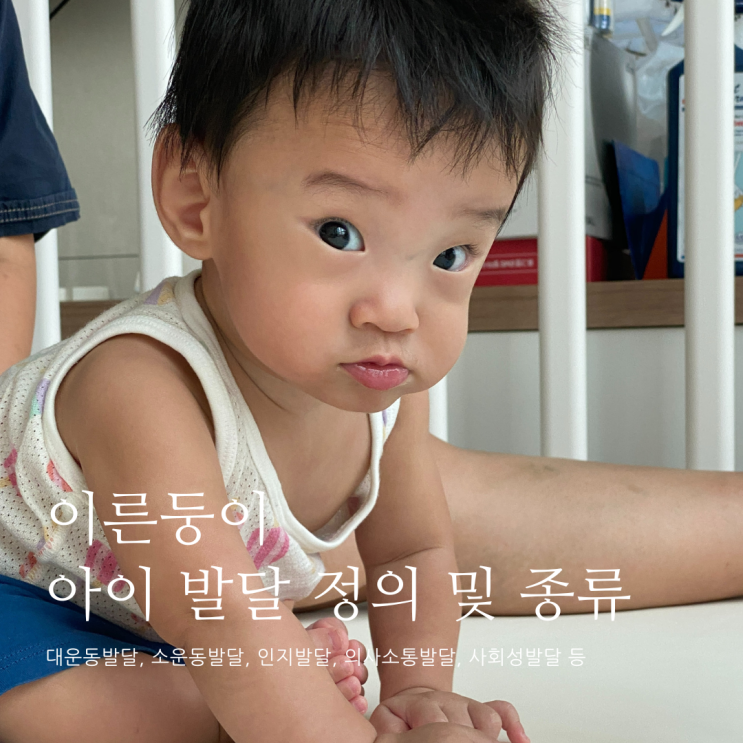 아이 발달 정의 및 종류 이른둥이 발달 아이 발달 정의 및 종류 이른둥이 발달