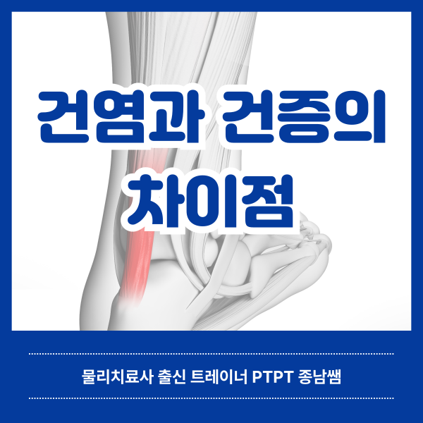  건염과 건증의 차이점 [녹양동 헬스매니아]