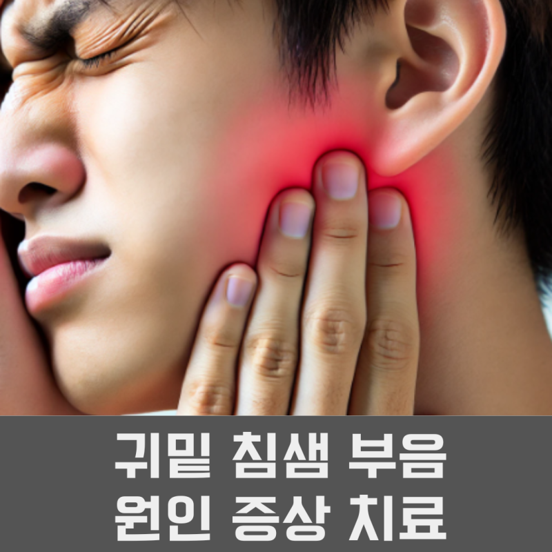 귀밑 침샘 부음 원인 증상 치료