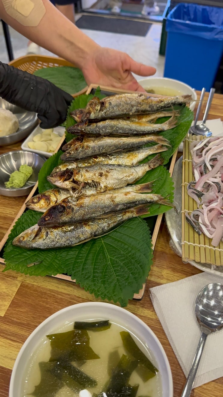  가을 제철 음식 전어회 전어구이 맛집추천 자매수산 강남본점