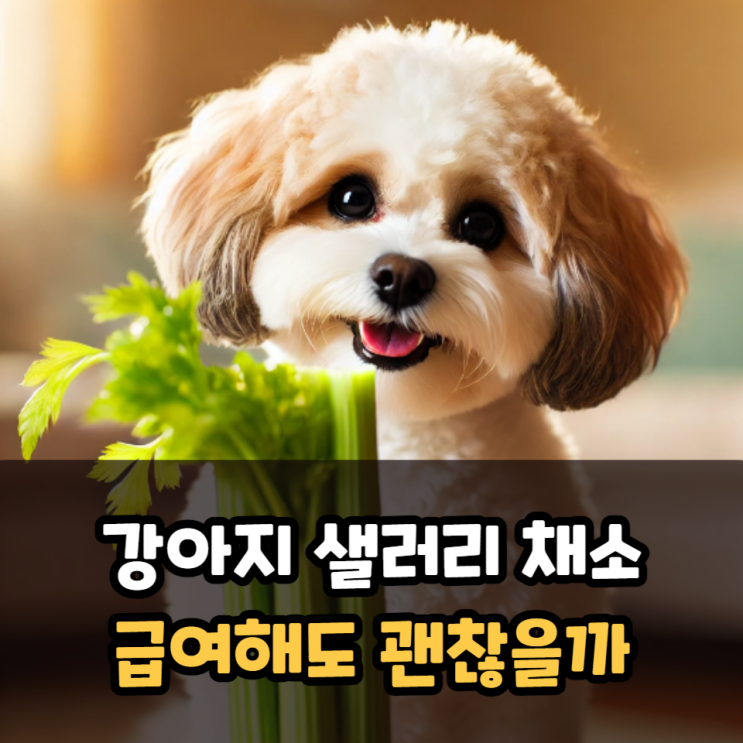  강아지 샐러리 채소 급여 괜찮을까?