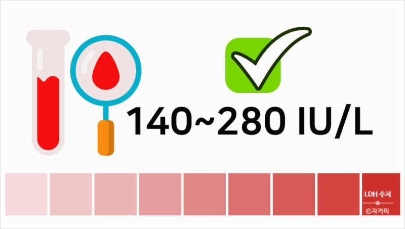LDH 수치 높으면 증가 원인과 정상수치 알아보자! : 네이버 블로그
