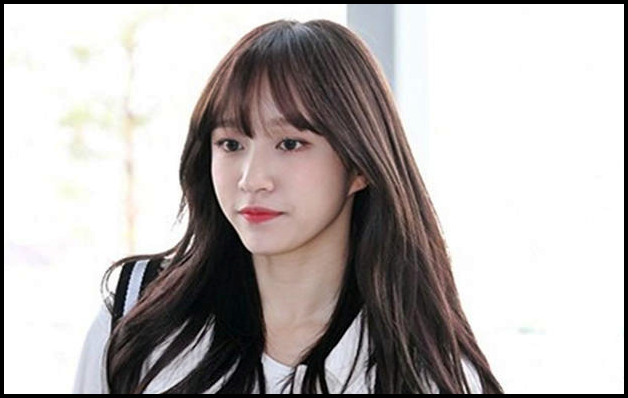 이엑스아이디 하니와 정신과의사 양재웅 결혼 미루기로 결정한 충격적인 소식