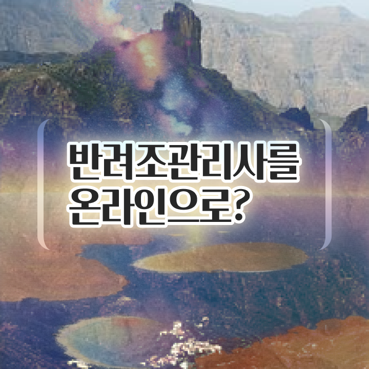 왕관앵무분양 , 반려조관리사 자격증 1달 만에 시험준비 , 온라인 무료강의