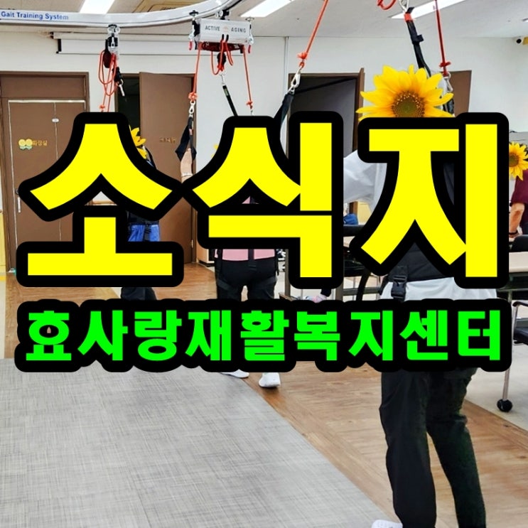  2024년 9월 소식지/프로그램계획표/식단표