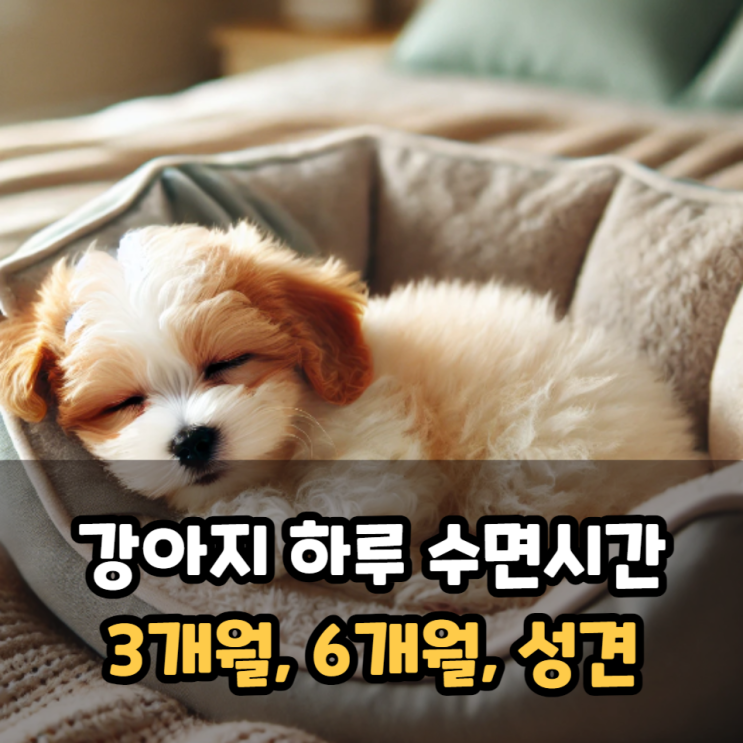  강아지 하루수면 시간(3개월, 6개월, 성견)