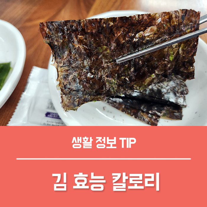  김효능 부작용, 조미김 구운김 칼로리는?