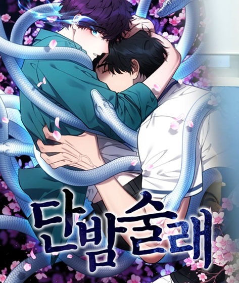  [BL 웹툰] 채팔이님 '단밤술래' 웹툰 화~