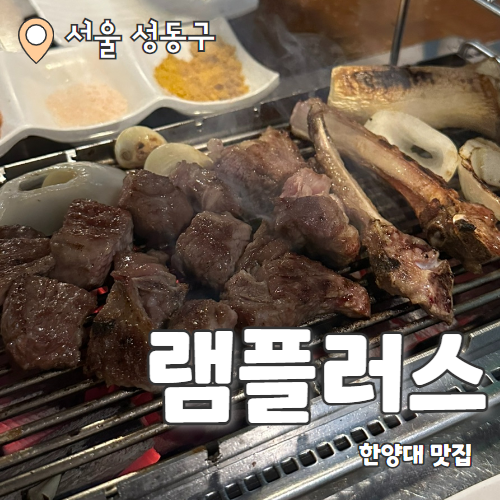 램플러스 한양대직영점 : 한양대 양고기&양꼬치 맛집 추천 후기