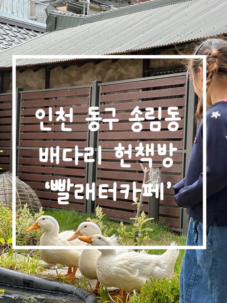  인천 동구 배다리 헌책방 거리 속 힐링 카페: 오리가 반겨주는 ‘빨래터카페’
