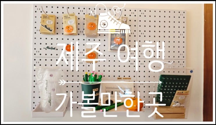  8월 여름 다녀온 제주도 2박3일 여행코스 서쪽편