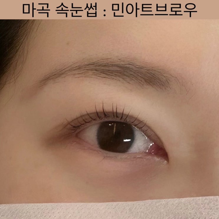  마곡 속눈썹 [민아트브로우] - 강서구 속눈썹, 발산 속눈썹펌