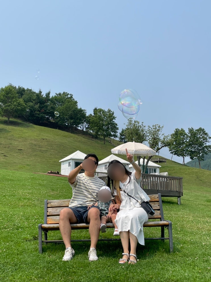 강원도 정선 태백여행 아기랑 가볼 만한 곳 몽토랑 산양목장 먹이주기 체험 추천해요!