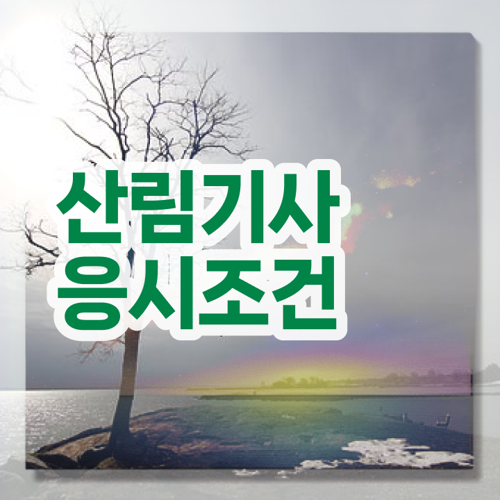 산림기사 산림기사 시험응시조건 인강만 듣고 쉽고 빠르게 준비한 비법