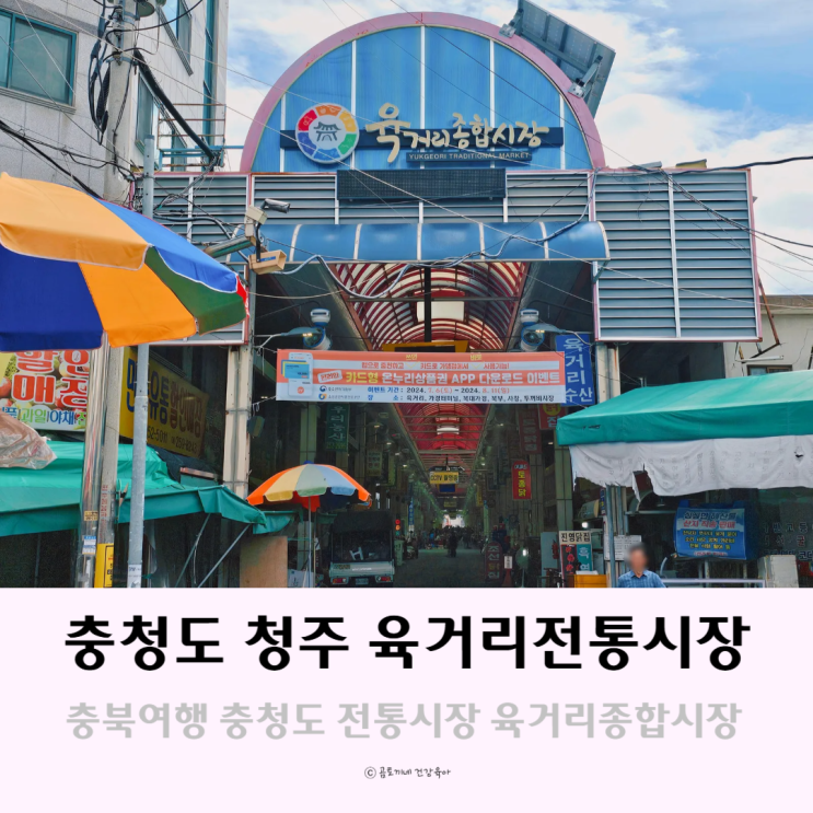 충북여행 충청도 전통시장 청주육거리시장 충북여행 충청도 전통시장 청주육거리시장