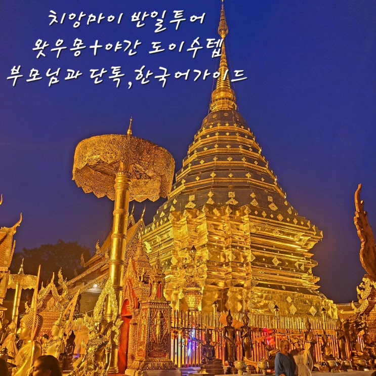  [치앙마이여행] 왓우몽야간 도이수텝반일 단독 투어몽키트래블태국인 가이드의 한국어투어