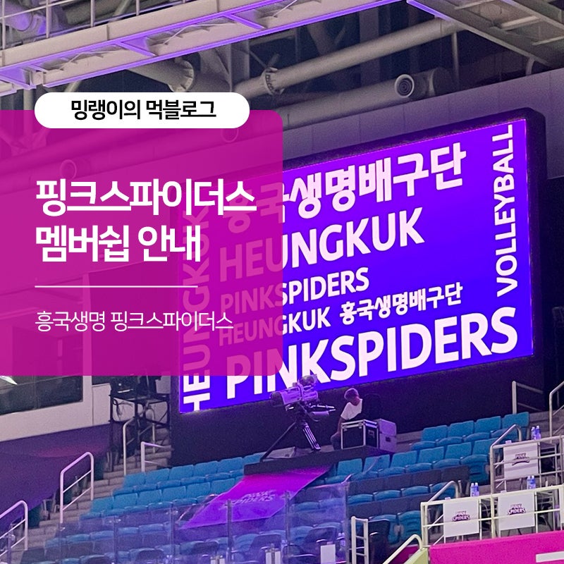 흥국생명 배구단 핑크스파이더스 멤버십 안내