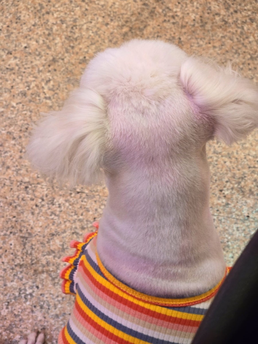 둥이실내포차 사진 6