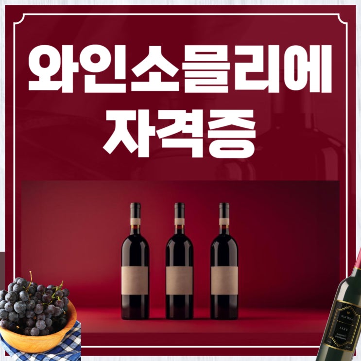 와인소믈리에 자격증 취득과정 및 공부방법 와인소믈리에 자격증 취득과정 및 공부방법