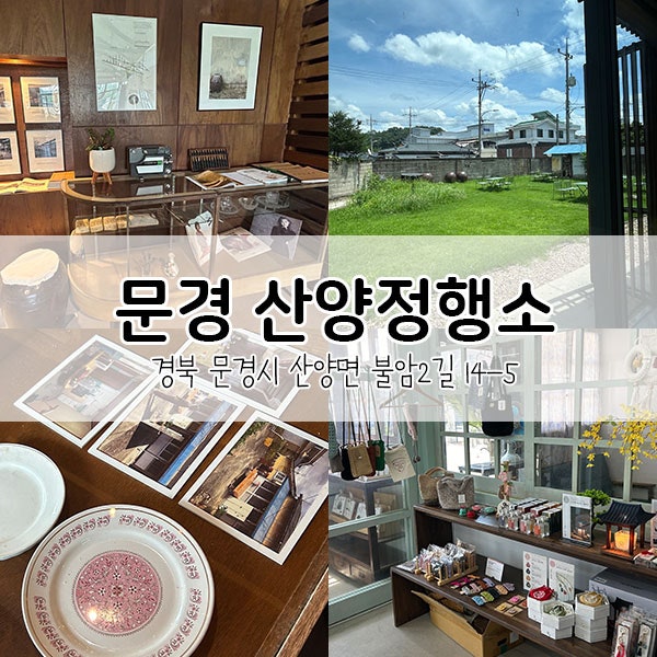 사진 2