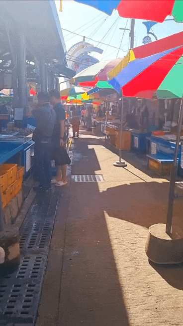  삼척 번개시장 새벽 5시부터 10시까지