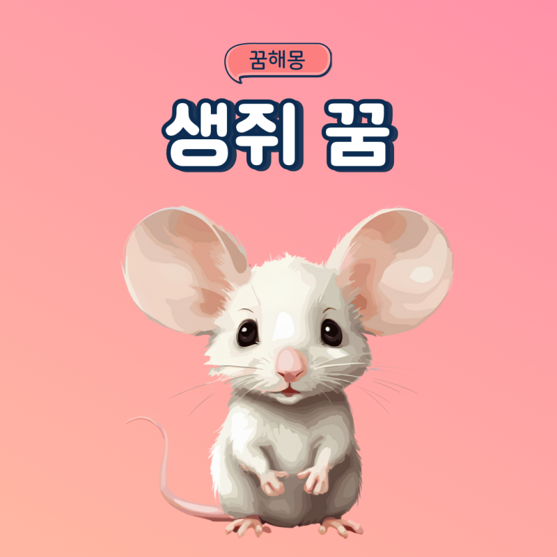 생쥐꿈 쥐잡는꿈 쥐가 무는꿈 쥐한테 물리는꿈