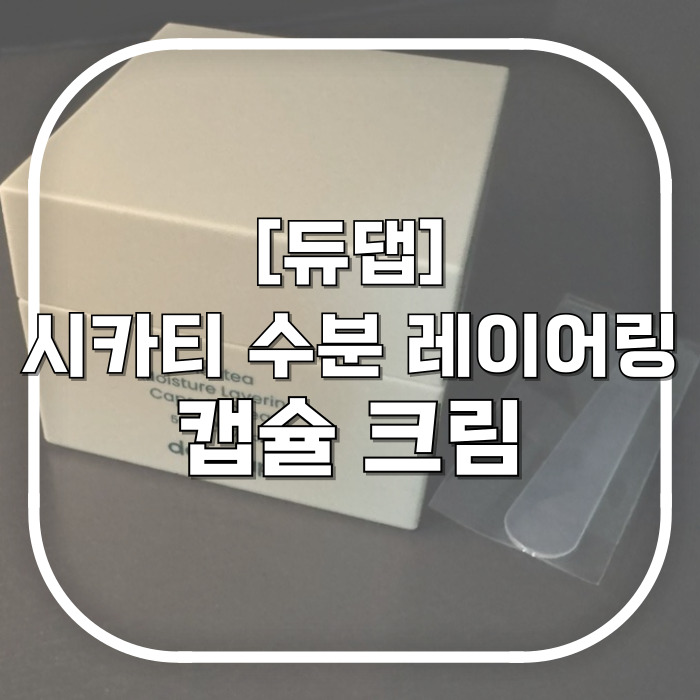  속건조 잡기 프로젝트 / 듀댑 시카티 수분 레이어링 캡슐 크림 / 화잘먹 보습 화장품 추천