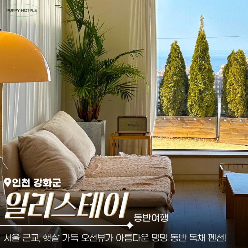 사진 2
