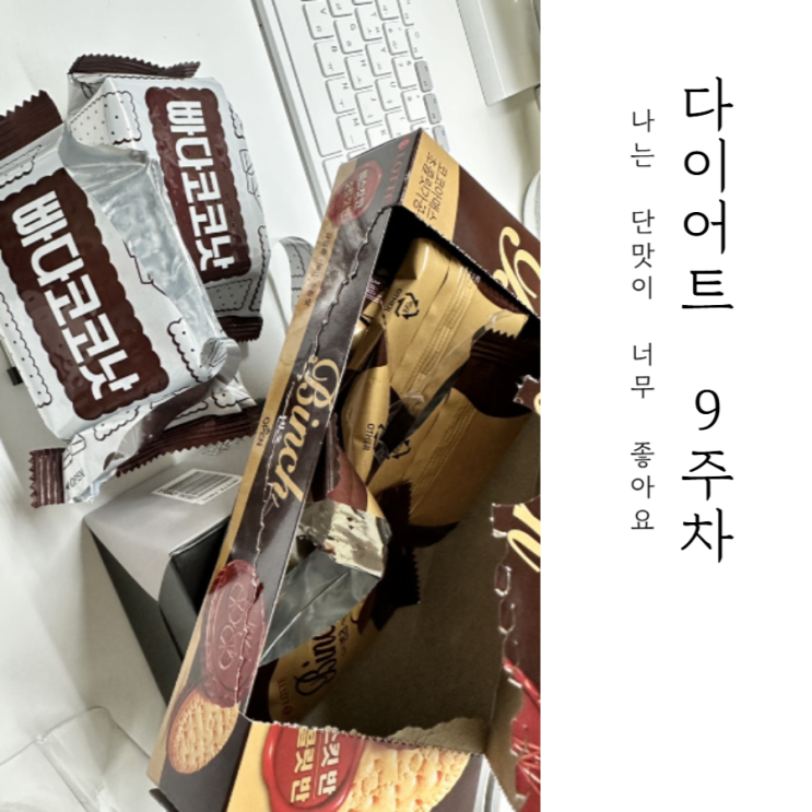  생리전 입터짐... 난 단게 너무 좋아요 : 다이어트 9주차