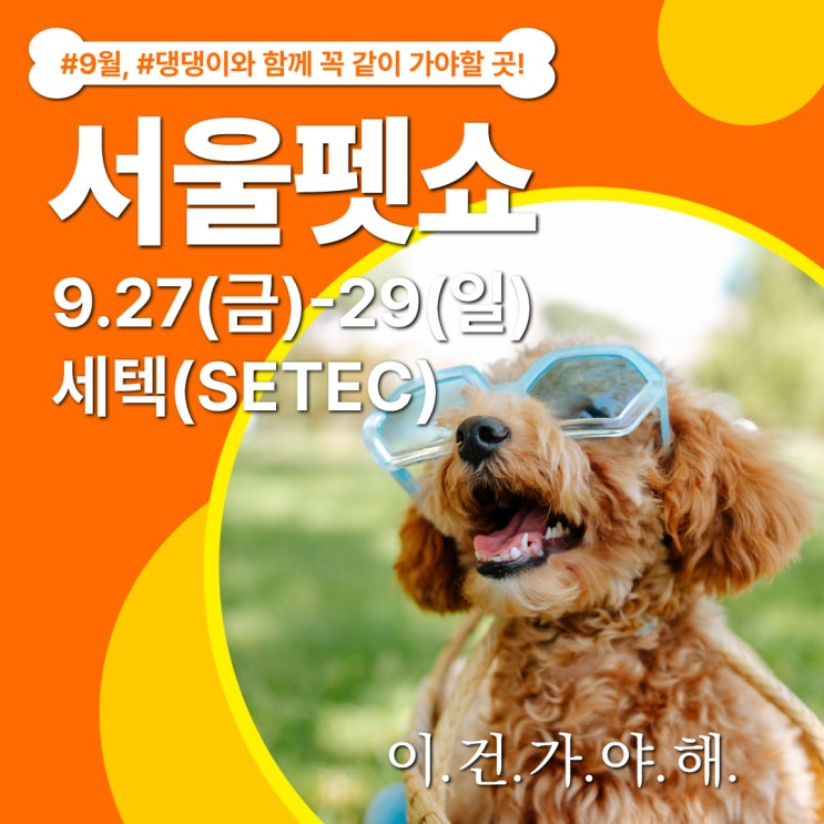  9월 댕댕이와 함께 가야할 곳 세텍 서울펫쇼 라인업, 맛집, 이벤트 안내