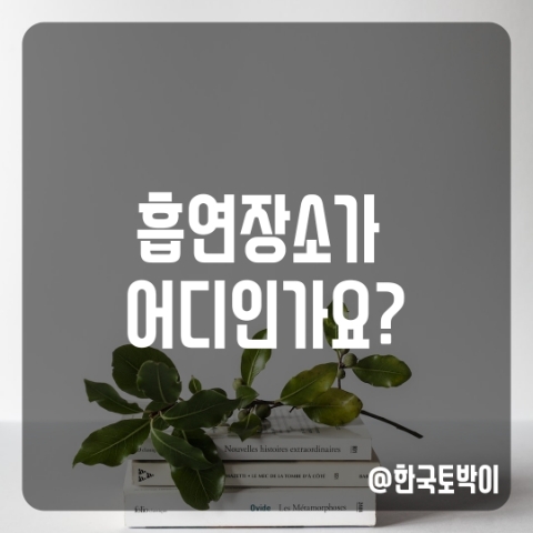  어디서 담배 필 수 있나요? 공항 흡연실은 어디인가요? 영어로