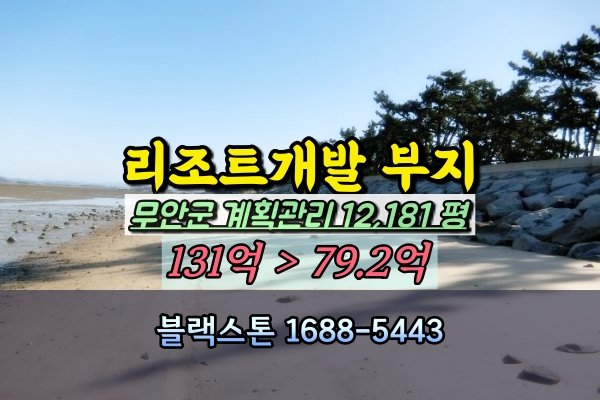  무안군 망운면 바닷가토지 경매 해수욕장 1만평대 100억이하