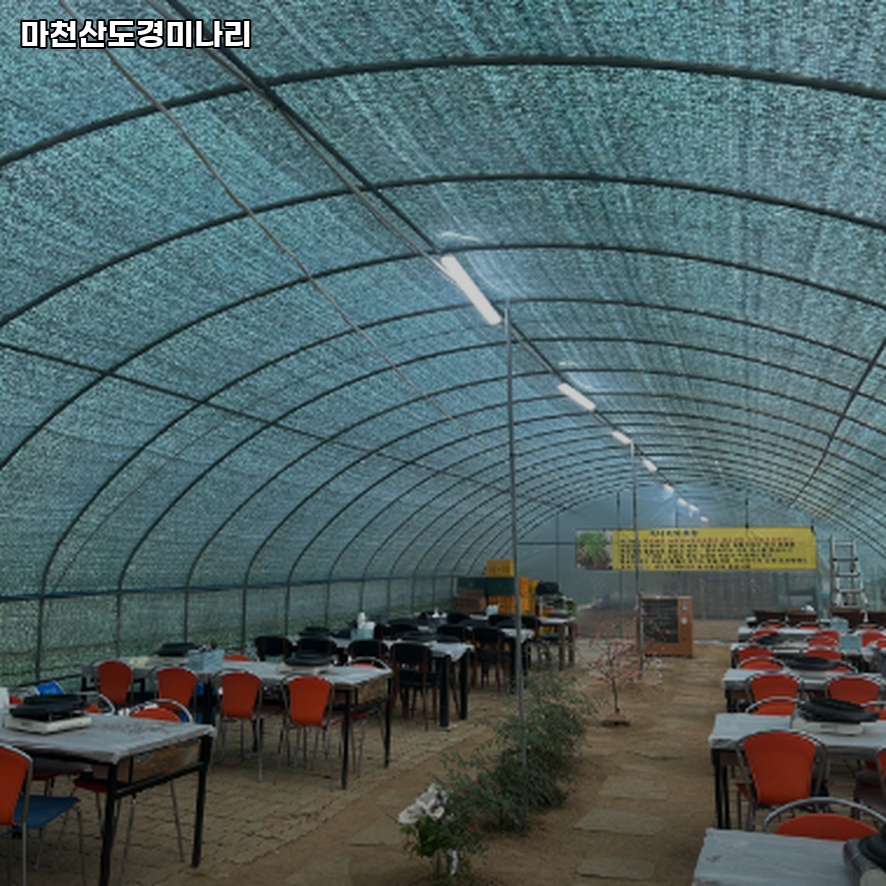 마천산 도경미나리 사진 2