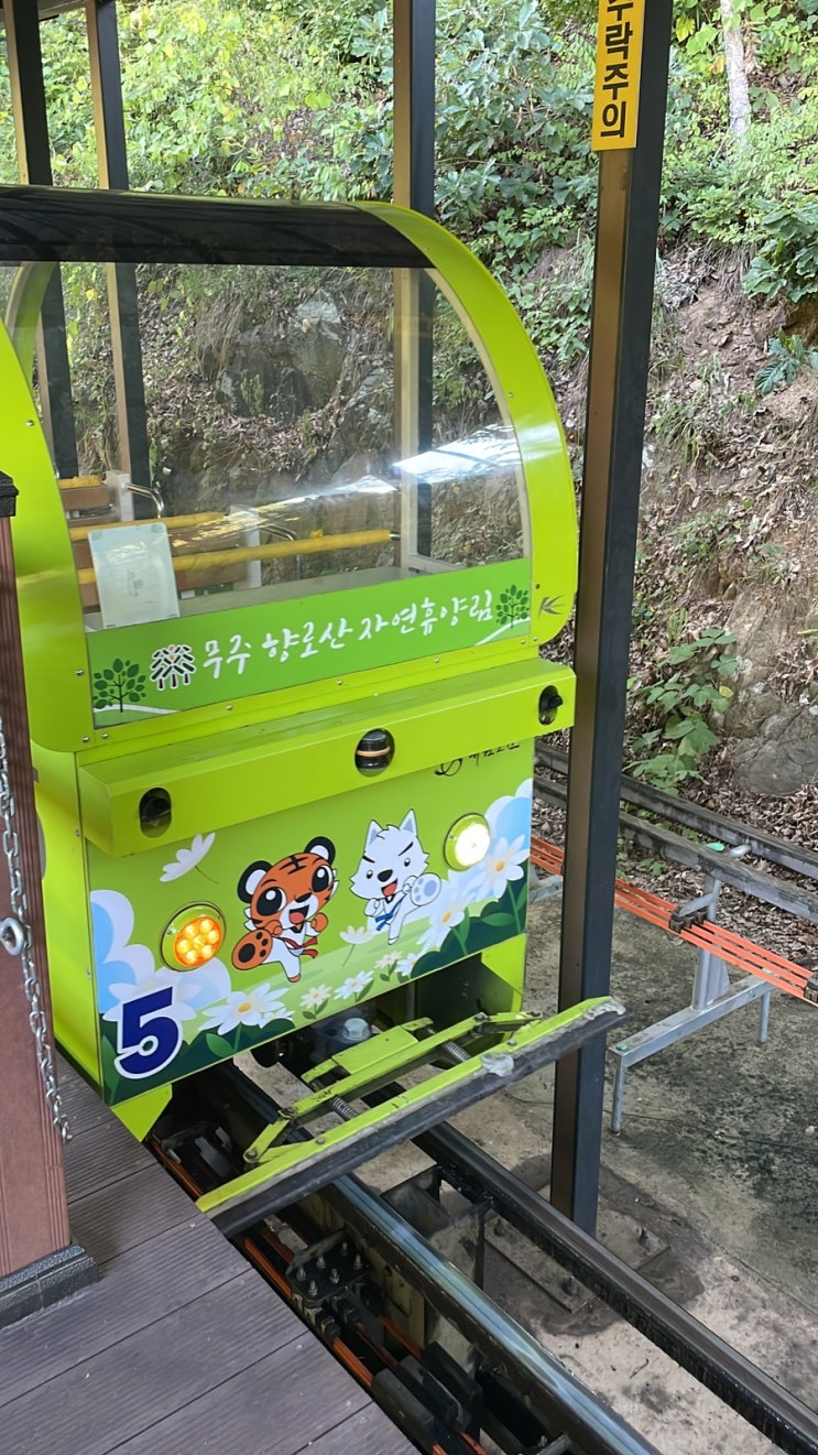  무주 모노레일 향로산 자연휴양림에서 꼭 타보세요!