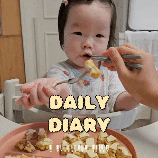  단단이네 주말 일상 기록 :D
