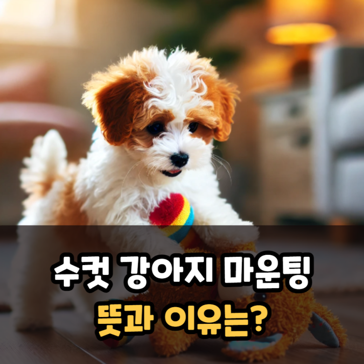  수컷 강아지마운팅 뜻과 이유는?